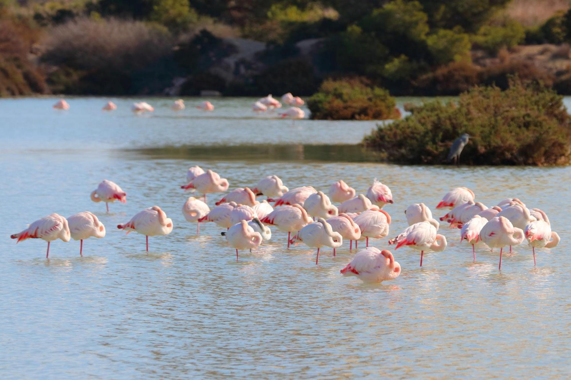 فيلا Casa El Oasis كاليبي المظهر الخارجي الصورة